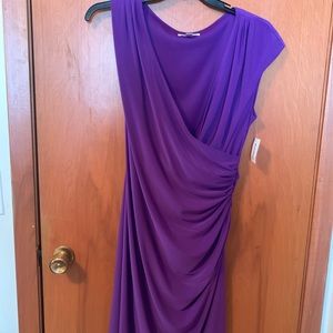 Dress Barn Women’s Dress